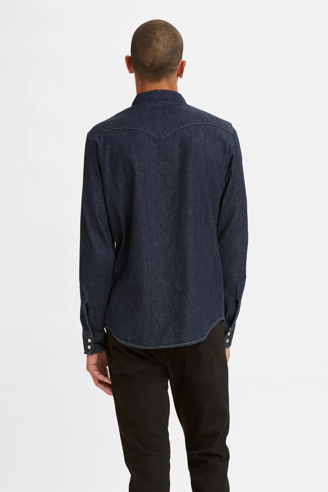 Classic Western Standard Fit Shirt Ray Rickburn