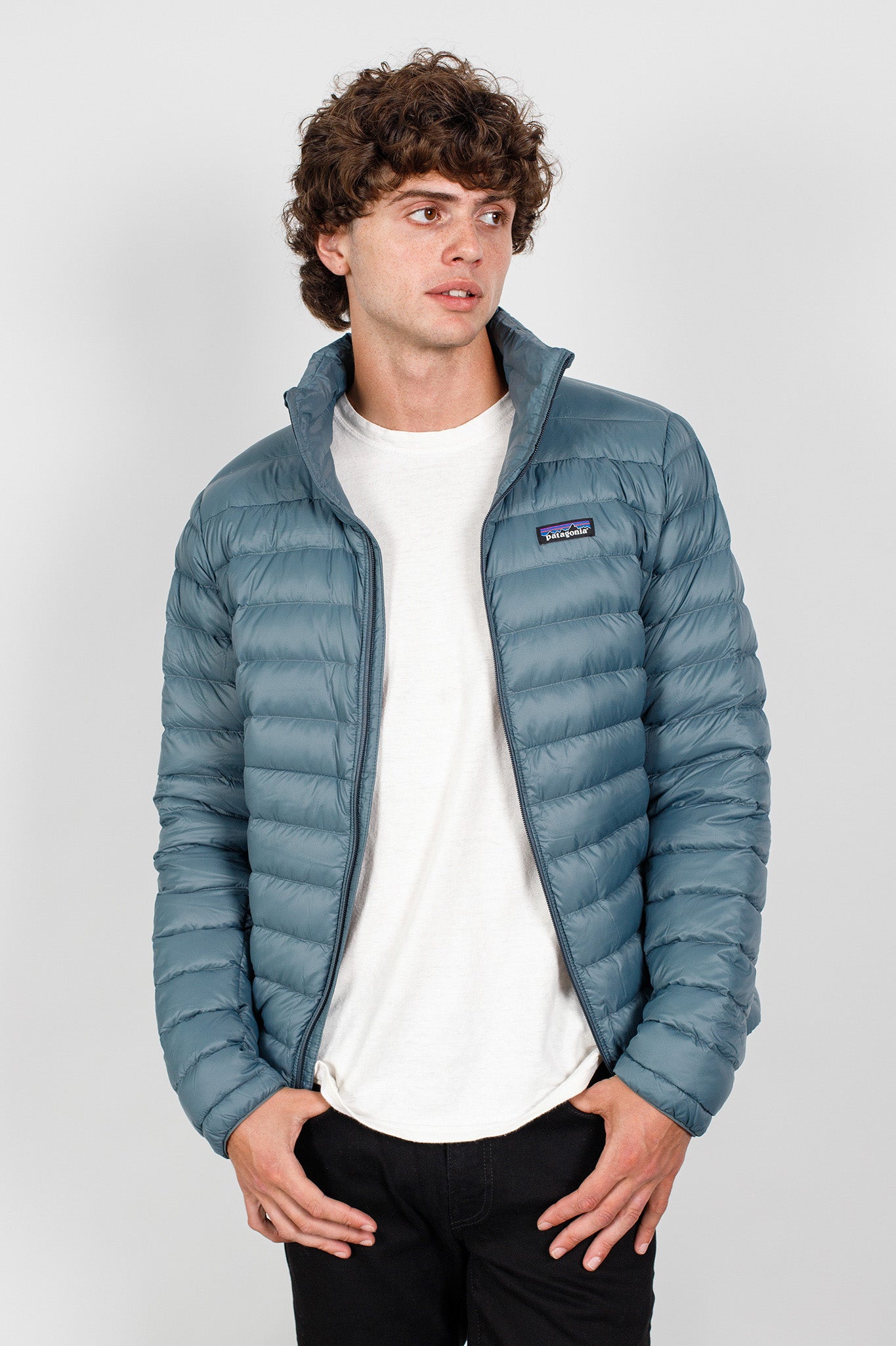 Patagonia Puffy: The W's Down Sweater Jacket