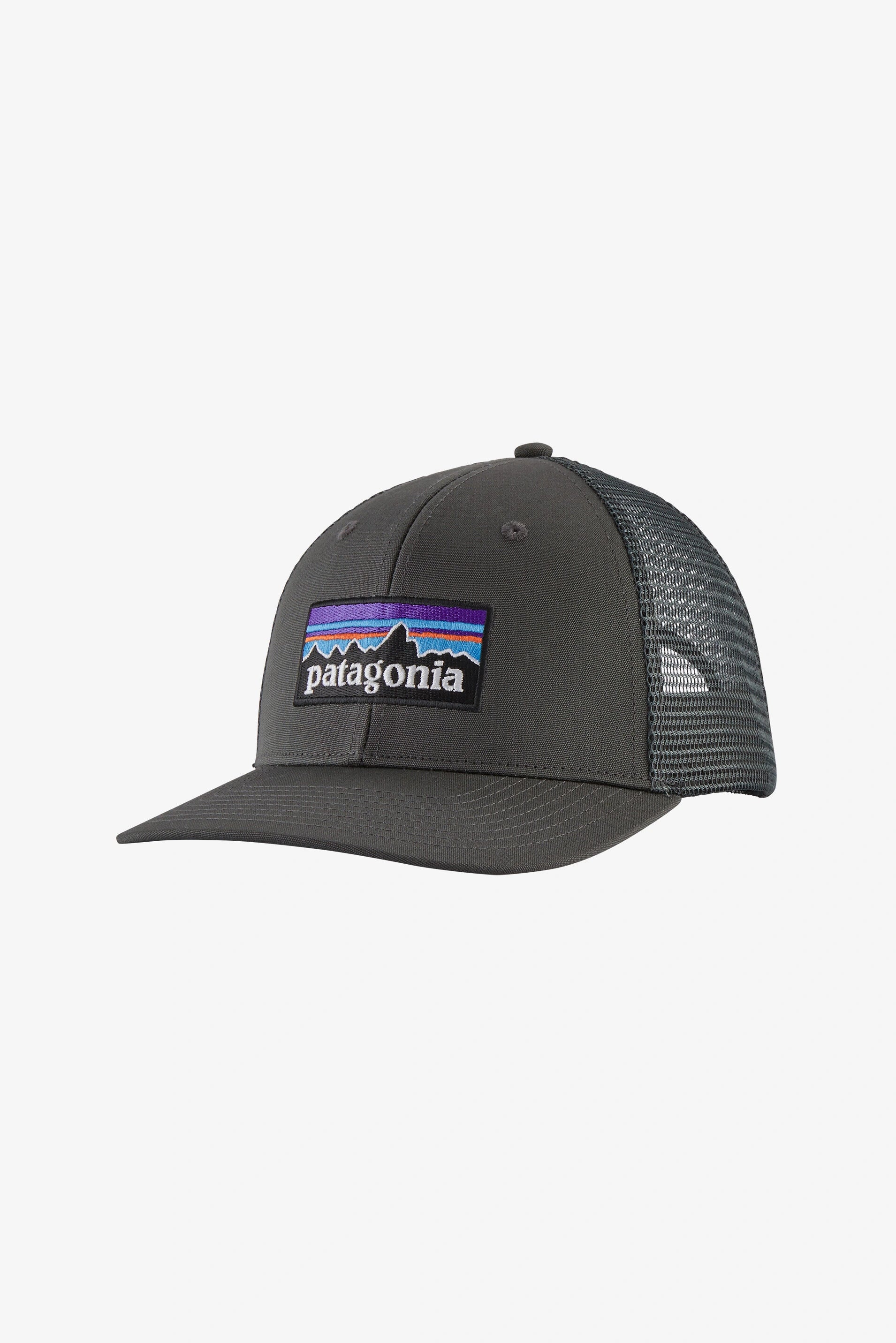 P-6 Logo Trucker Hat Hats Patagonia   
