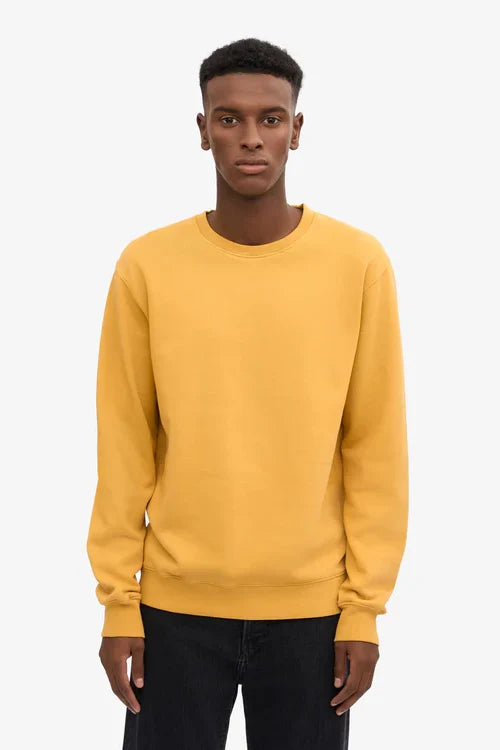 Classic Organic Crew Sweaters Colorful Standard