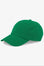 Organic Cotton Cap Hats Colorful Standard