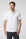 Short Sleeve Manhattan Button Down Shirts Vuori