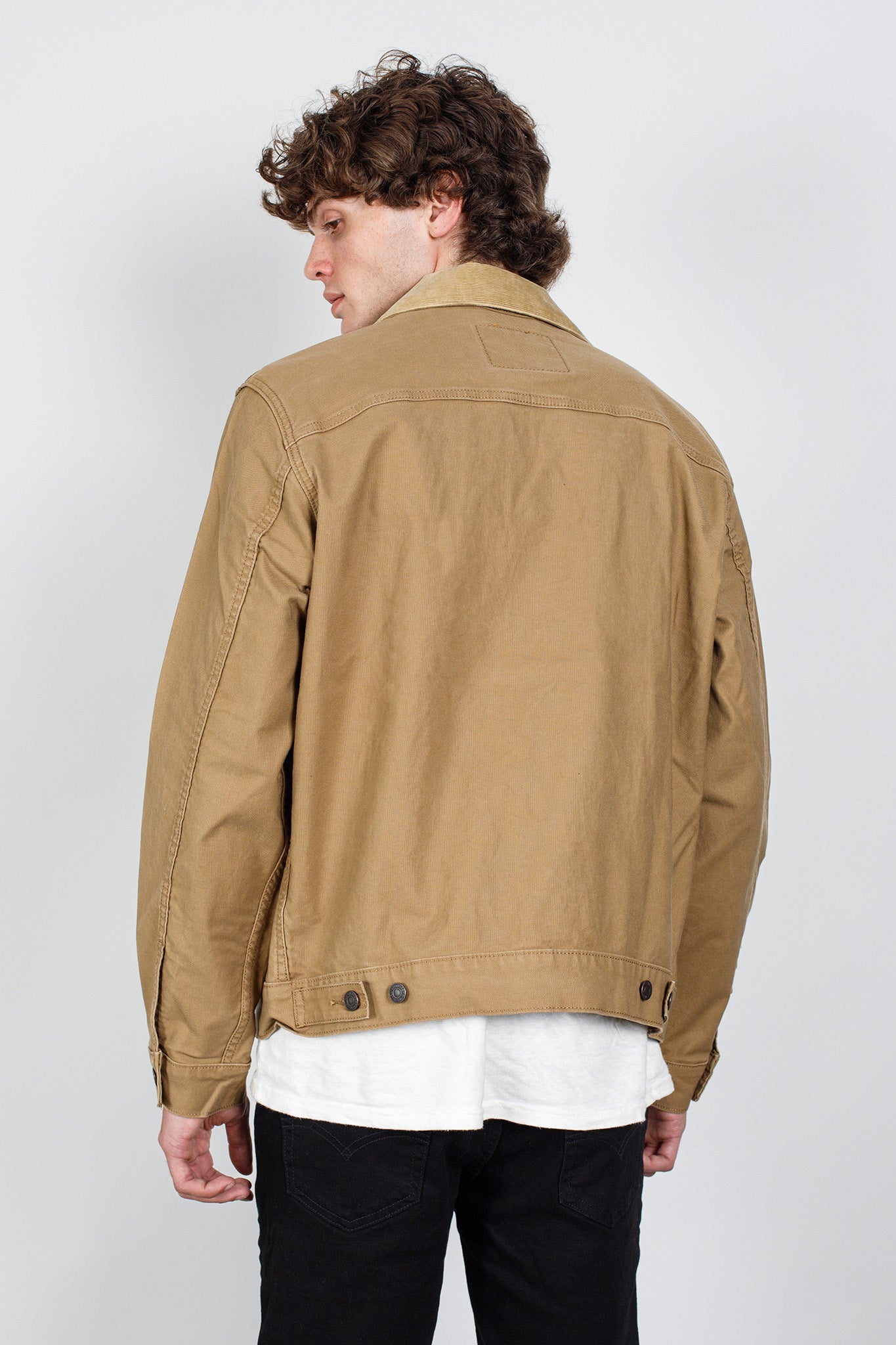 Stock Trucker Jacket Jackets Levi's   