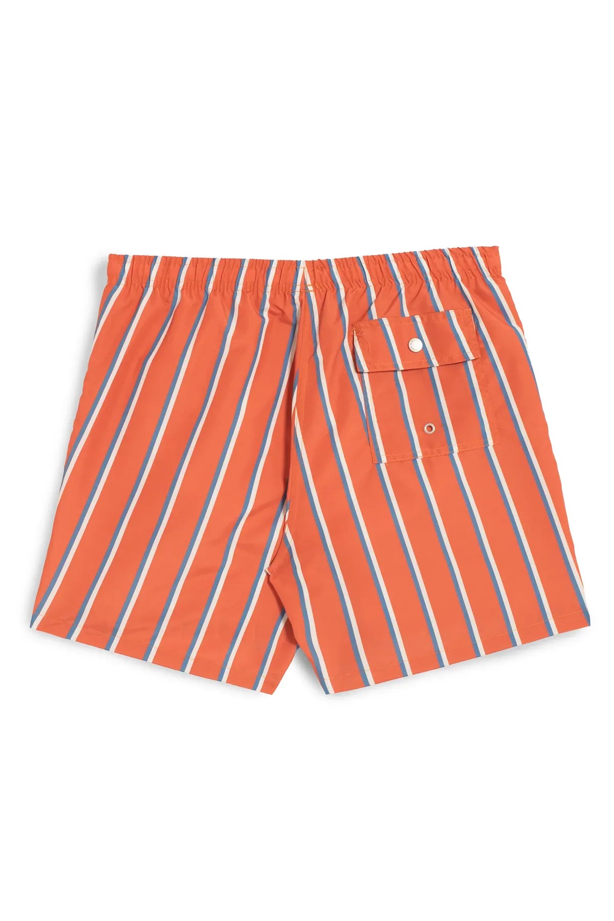 Fine Stripe Swim Trunk Shorts Bather