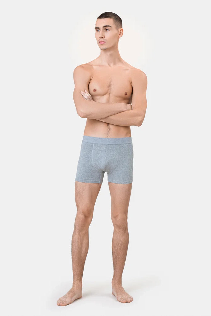 Classic Organic Boxer Briefs Underwear Colorful Standard