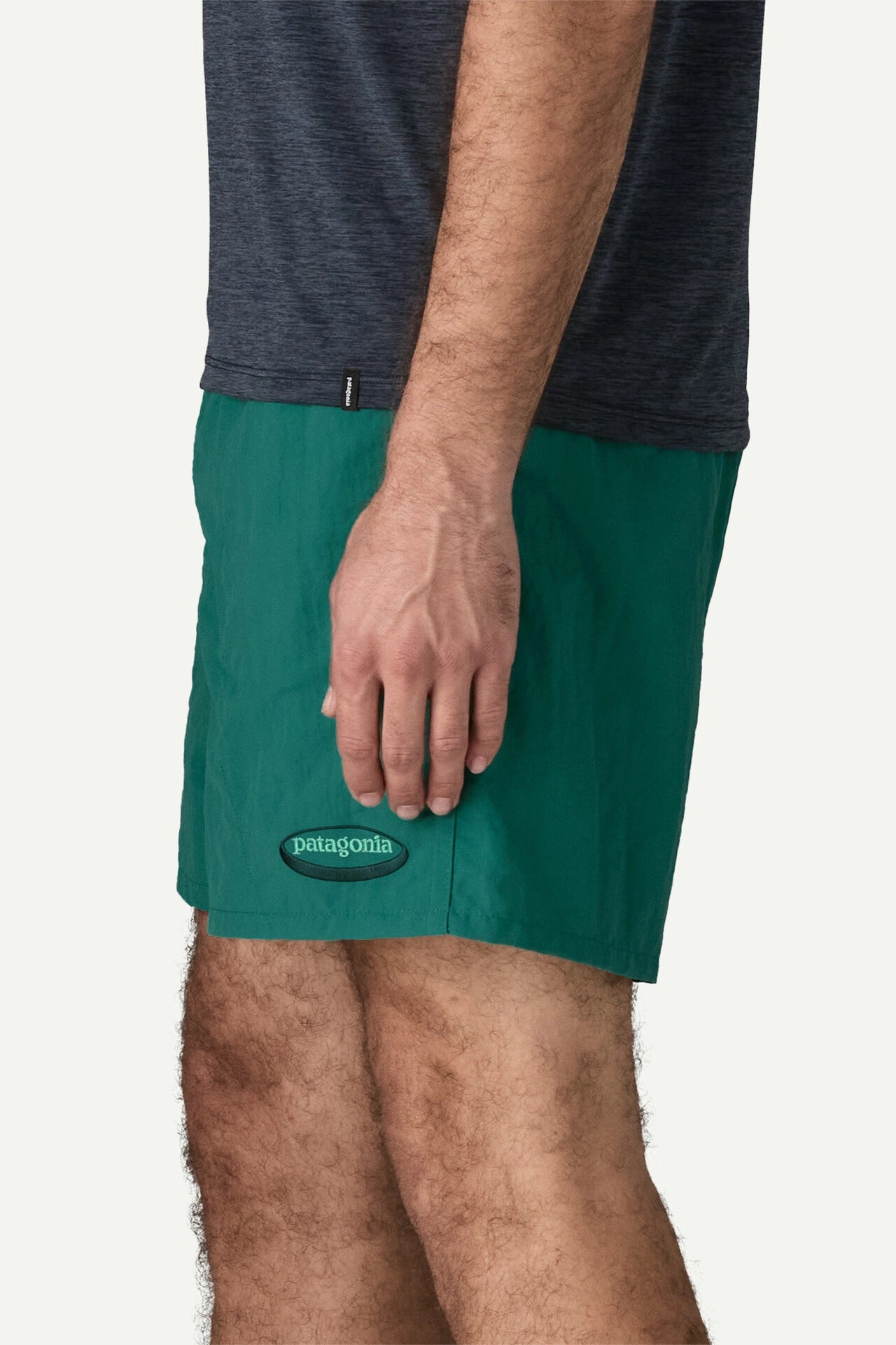 Baggies™ Shorts - 5" Shorts Patagonia